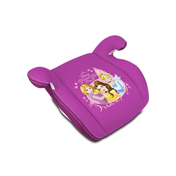Grupo de apoio às princesas da Disney 3