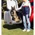 Towcar Towbox V2 caixa de bolas para cães cinzenta