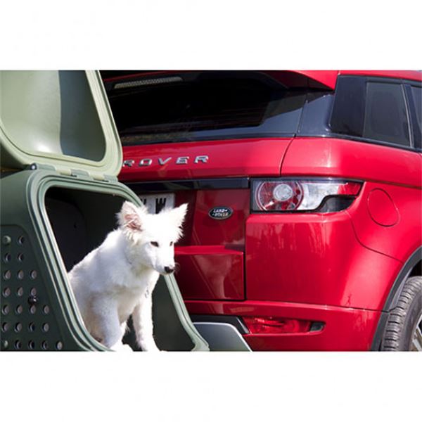 Towcar V2 caixa de bolas para cães