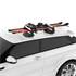 Suporte magnético para esquis Cruz Ski Roof 940-294