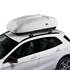 Caixa de cruzamento Paddock elite 400b branco brilhante