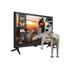 TV LED de 22" com tomada 12V / 240V