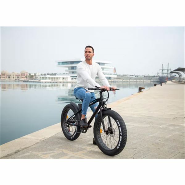 Bicicleta eléctrica Skateflash Fat