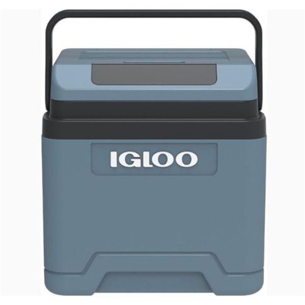 Frigorífico elétrico IGLOO IE24 DC 12