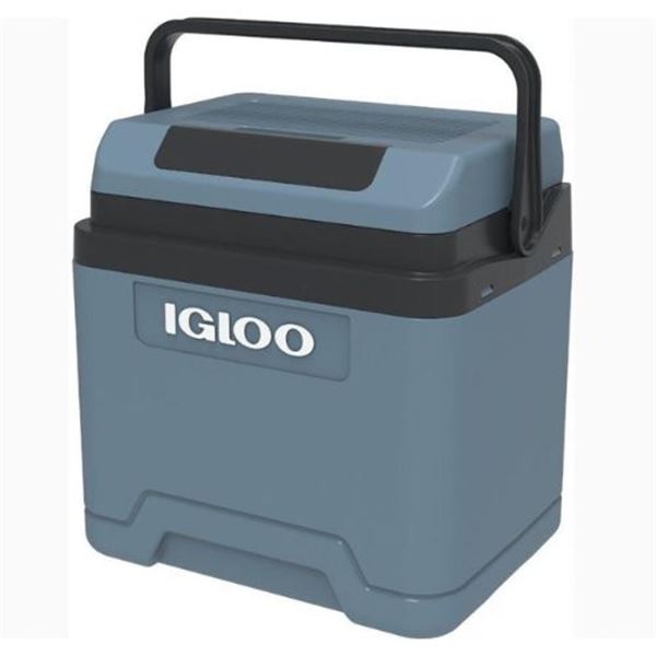 Frigorífico elétrico IGLOO IE24 DC 12