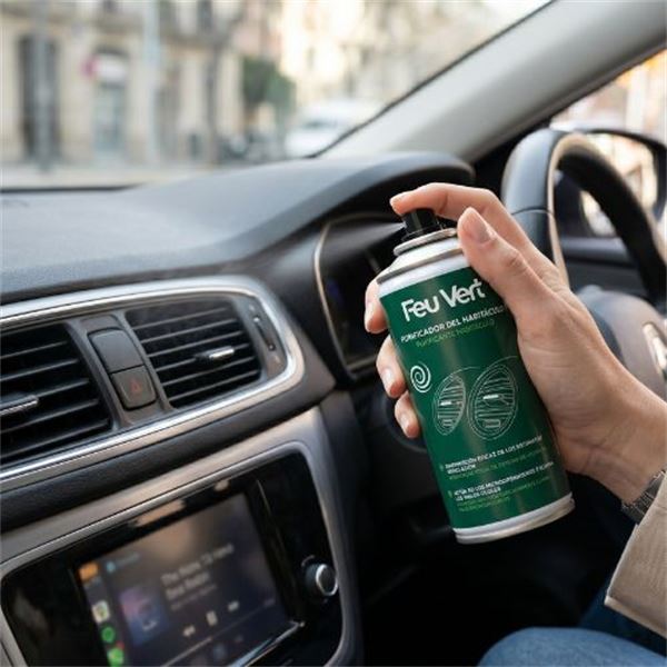 Purificador de ambiente Feu Vert 125Ml