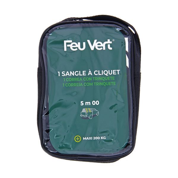 Correia de catraca de qualidade superior Feu Vert 5M