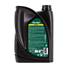 Óleo Feu Vert 5W30 Rn17 C2/C3 1L