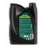 Óleo Feu Vert 5W30 Dexos2 C3 C3 1L