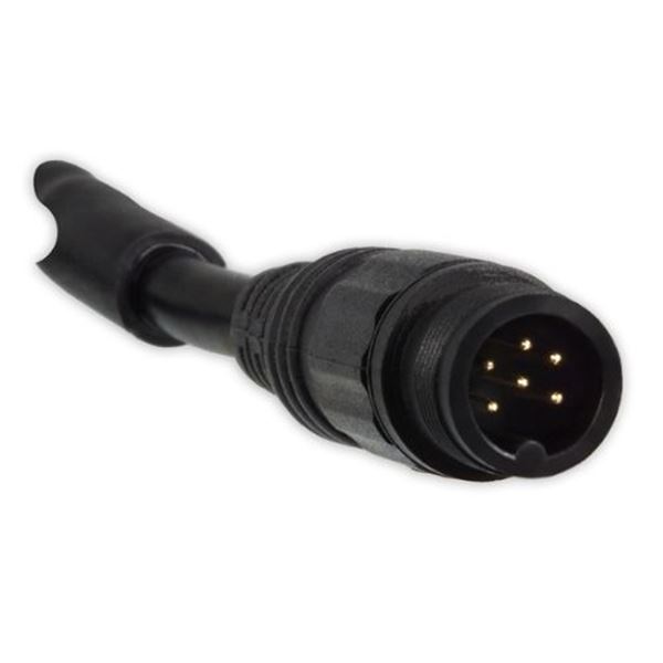 Adaptador de câmara direto Alpine kwe-cam6d